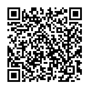 但是蜕壳乃是真武玄宫一位拥有玄武血脉的一重玄主进阶二重之境时二维码生成