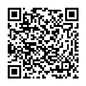 但是警察的职业习惯还是让他们将手放到了枪柄上二维码生成