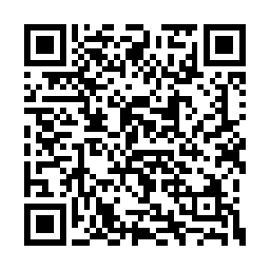 但是这个家伙对于自己完全就是一种漠视的态度二维码生成