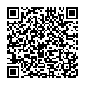 但是这样针对一群对自己和神圣冰岛王国已经没有任何威胁的小鱼小虾大开杀戒二维码生成