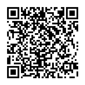 但是这种没有翅膀却自动悬浮起来的马……他真的是第一次见也是第一次听说二维码生成