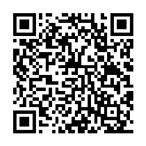 但是陈凌可以靠神识感受到大古从蛋壳中进化完成的状态二维码生成