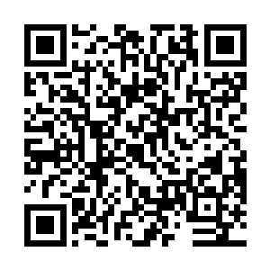 但是雷天一定会把凤凰安全的带出这座诡异的浮空之城二维码生成