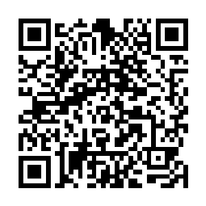 但现在连路药师都这么说……那就是铁板上订钉子的事了二维码生成