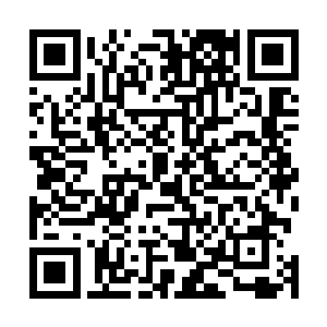 但结果是他的同门师兄弟在听说他要报仇的对象是杨晨后二维码生成