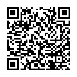 但赵雨樱交给准将的正是最特殊的几种征调令之一二维码生成