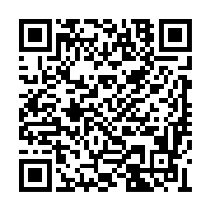 但还是从骨子里讨厌这个纠缠不休挖墙脚的家伙二维码生成