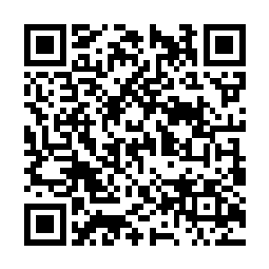 但这一切在天地之怒的面前又显得如此的苍白脆弱二维码生成