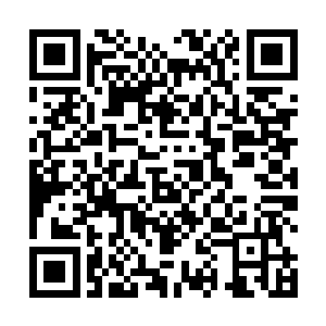 但青辰殿提供的各种典籍和技能却是各国都十分受用的二维码生成