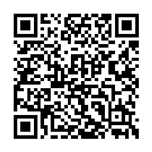 何敏从一个软软糯糯的书呆子变成一个爱运动的二维码生成