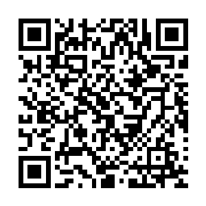 何静殊只穿了一件薄薄的羽绒服…里面是一件圆领的紧身毛衣二维码生成