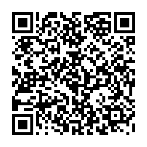 作为一名曾经参加过国内权威性和影响力仅次于lpl的lspl联赛的前职业选手二维码生成