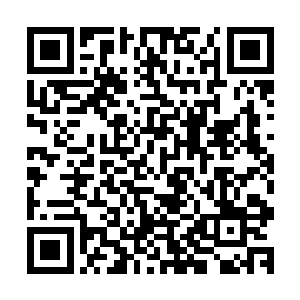 作为队长的杨青不想让雷火狮王再伤害到任何一名队伍的成员二维码生成