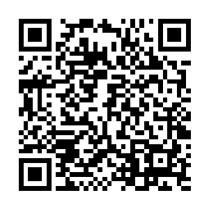 你…嬴家什么时候用得着你一个嫁出去的女儿家来出头了二维码生成