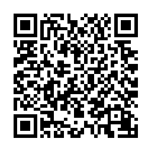 你们两个合作的影片没有一部在商业上真正取得过成功二维码生成