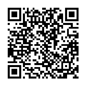 你们若是想换个药方不如叫我家的东家给他把脉重新下方二维码生成