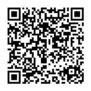 你们连在我们神族面前故作坚强的资格都没有……哈哈哈哈……哈哈哈哈……二维码生成
