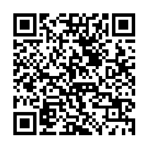 你和夏儿在研究身上的毒素的时候就有更多的时间了二维码生成