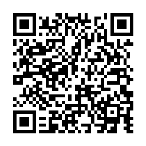 你和我大哥到底达成了什么样的协议你不必告诉我二维码生成