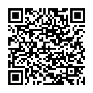 你在刚才的证词中指证我的当事人张锋向你推销假二维码生成