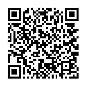 你娘离去是因为我们不想你也困在这里终老此生二维码生成