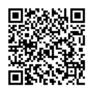 你居然瞒着我……成了夏一天的鬼都未曾与我说起……二维码生成