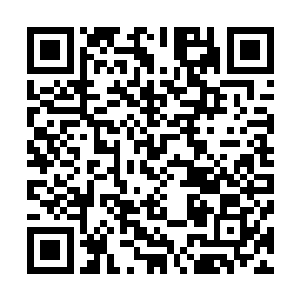 你帮我一起卖卖其他的丹药啊符篆啊阵盘啊一类的就可以了二维码生成