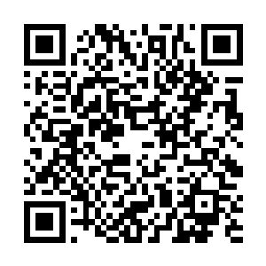 你把那三个商人还有其他的家属和仆人都给关到货仓里二维码生成