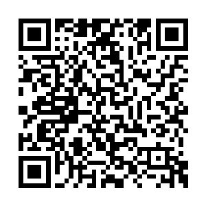 你是不是在青阳发现撒那特斯病毒的那位张医生二维码生成