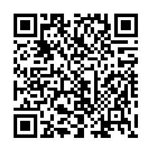 你曾说过你在你爷爷过大寿的那一天拿了一个赤金蛇蛇头二维码生成