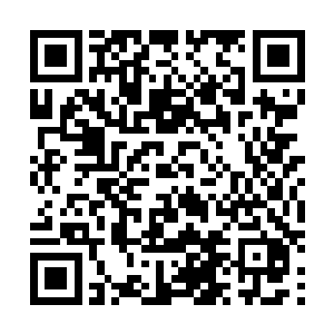 你最好搞清楚……此刻你我之间最大的差距……就是速度二维码生成