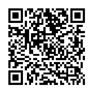 你有没有看到刚刚何秦氏还有那俞氏脸上的表情二维码生成