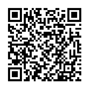 你没必要与汤姆出现在同一部电影或者类似的场合里二维码生成