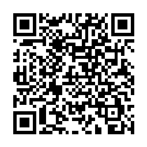 你现在的样子跟年轻时候的嗣远几乎是一模一样的二维码生成