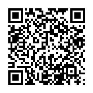 你确定迪怀恩一年多没有说话是因为极度憎恨他的家人二维码生成