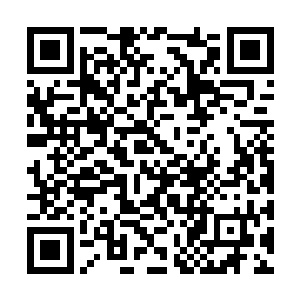 你给点兽修和大妖的肉就行了……咱们离开的方向二维码生成