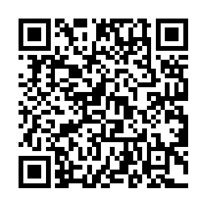 你自以为和我们不同……实则只是五十步笑百步罢了二维码生成