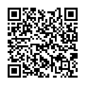 你表现得再无动于衷也无法改变你之前的一无所知二维码生成