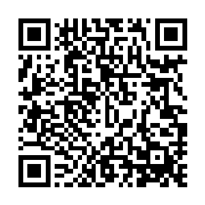 你请来的那两位书记官后裔到底有没有把握找到沉船的位置二维码生成