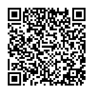 你还找得到当初那个为了见你一面站在外面淋了一个晚上雨的懦弱小丫头吗二维码生成