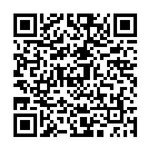 你还记得上次神域三王和妖帝联手追捕他的事情吧二维码生成