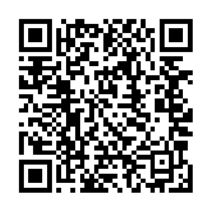 你还记得我们在下界的时候找到的施家的那一片小空间吗二维码生成
