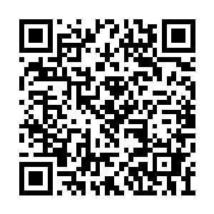使得一片惊呼和一声惨叫清楚的响彻在整个后台二维码生成