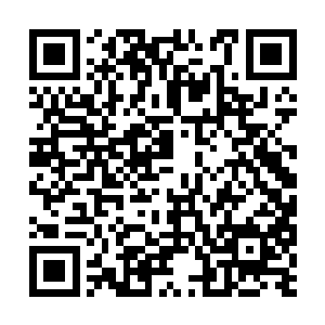 便可修炼出幽冥界第一幽冥意境神通――冥神领域二维码生成