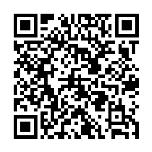 便是连蜀山剑宗那样强横的大宗门都不敢轻捋其虎须的二维码生成