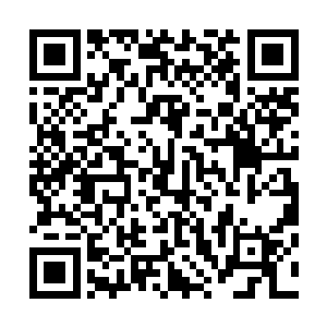 便由白冰儿顺理成章的拿下了这枚封印龙神八打武技的宝玉二维码生成
