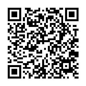 俏生生的望着摩珂一脸狼狈的从界面通道回归元始魔界二维码生成