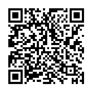 信被下人送来时他真满头大汗的抄着小福抽空帮他写的作业二维码生成