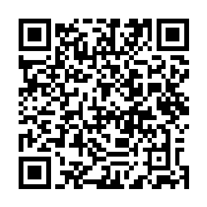 倒也没什么稀奇……不过偶尔或许能挑到好的宝物也说不定二维码生成