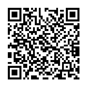 倒也没有因为叶楚的手脚不安分有什么过激的举动二维码生成